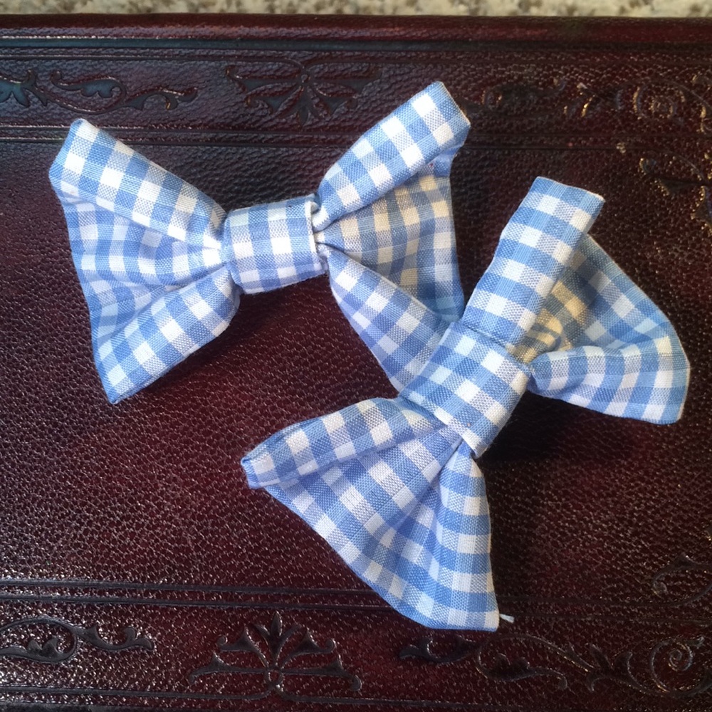 Blue/White Gingham Hair Clips